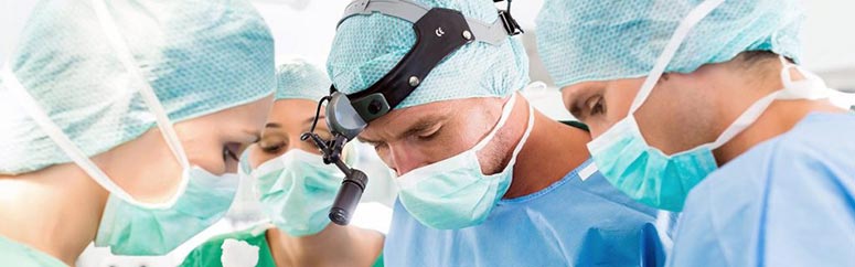 okseia cholokystitida